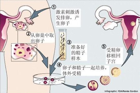 苏主任医师